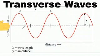 Anatomy of a Transverse Wave [upl. by Laroy]