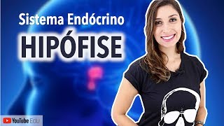 Hipófise Sistema Endócrino  Anatomia e etc [upl. by Buskus]