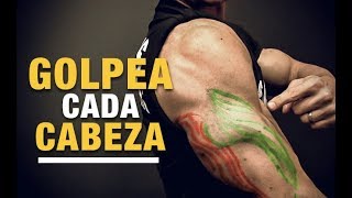 Ejercicios para Cada Cabeza del Tríceps ¡TRABAJA TODAS [upl. by Scheck]