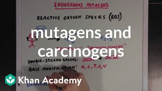 Mutagens and carcinogens  Biomolecules  MCAT  Khan Academy [upl. by Enedan337]