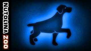 Blaffende hond geluid  Hunde bellen sound  Dog sound effect  Dźwięk psa [upl. by Orihakat]