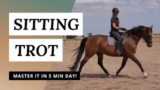 Sitting The Trot  How To Move Your Seat [upl. by Ahsimal232]