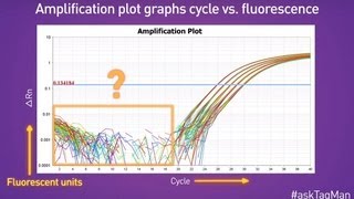 Baselines in RealTime PCR  Ask TaqMan® Ep 5 [upl. by Pollack31]