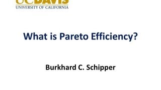 Pareto Efficiency [upl. by Avilo]