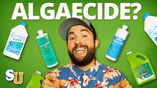 The TRUTH About Using ALGAECIDE In Your POOL [upl. by Marney]