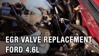 EGR Valve Replacement  Ford 46L [upl. by Modnarb]