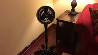 Vornado 683 Pedestal Air Circulator [upl. by Sion733]