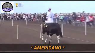 Carreras de Américano el mejor caballo de la Argentina [upl. by Ainnat]