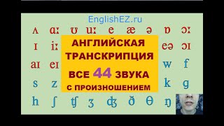 Урок 3 Ч2 Транскрипция английских звуков с произношением Все 44 звука [upl. by Wing]