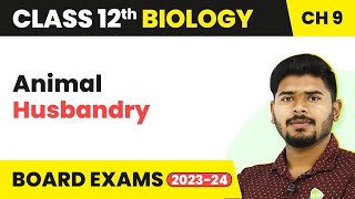 Class 12 Biology Chapter 9  Animal Husbandry Strategies for Enhancement in Food Production 202223 [upl. by Costanzia]