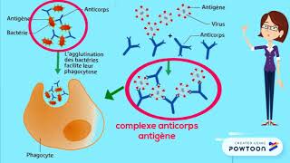 Réaction immunitaire spécifique [upl. by Emmuela837]