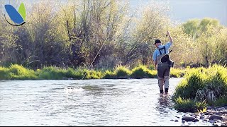 Fly fishing How To fly fish Nymphs or Nymphing [upl. by Zingg585]