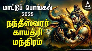 Mattu Pongal 2025 Special Nandeeswarar Gayathri Mantram [upl. by Anastasius]