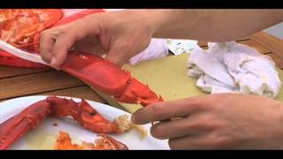 How to eat a lobster [upl. by Shishko]