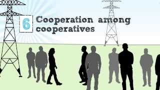 The Cooperative Business Model — The Seven Cooperative Principles [upl. by Nnahoj439]