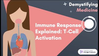 Immune Response Explained TCell Activation [upl. by Icken]