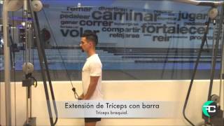 Extensión de Tríceps con barra [upl. by Hedvig345]