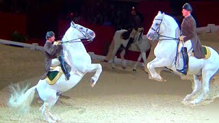 Spanish Riding School Vienna Lipizzaner Horse Performance London luna [upl. by Anilatak584]