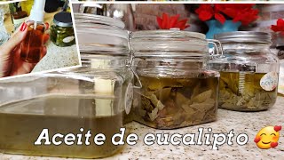 Como hacer aceite de eucalipto [upl. by Gaige]