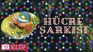 Hücre Organeller Şarkısı [upl. by Juliette]