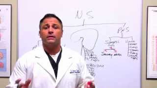 About Neurologists  What Do Neurologists Do [upl. by Corbin]