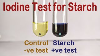 Iodine Test For Starch Practical Experiment [upl. by Aillil]