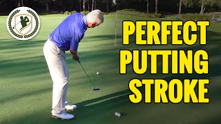 GOLF PUTTING TIPS  THE PERFECT GOLF PUTTING STROKE TECHNIQUE [upl. by Grussing]