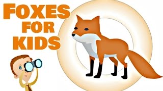 Foxes for Kids [upl. by Samuelson]