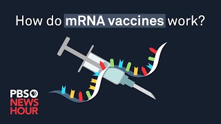 How do mRNA COVID19 vaccines work [upl. by Prader]