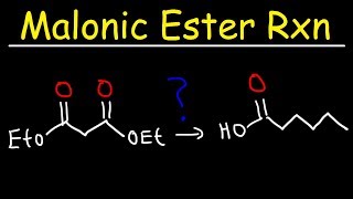 Malonic Ester Synthesis Reaction Mechanism [upl. by Nelsen]