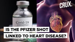 Is Side Effect of Pfizer COVID19 Vaccine Behind Rising Cases of Myocarditis in Israel [upl. by Clerissa552]