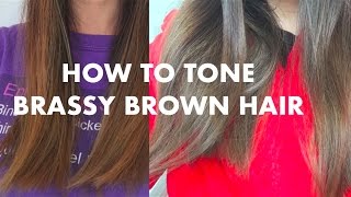 How to Tone Brassy Hair  eSalon Tinted Love Review [upl. by Emilie]