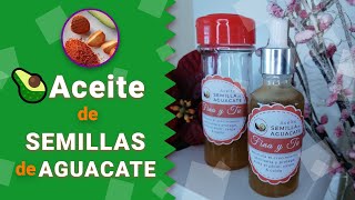 Cómo hacer🥑 ACEITE de SEMILLA de AGUACATE 🥑 [upl. by Aihsekal]