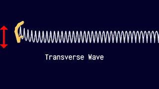 Longitudinal and Transverse Waves [upl. by Audris]