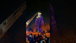 2023 Tigard Holiday Tree Lighting [upl. by Soll]