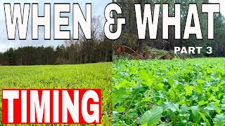 What Food Plots amp When should You Plant Them [upl. by Forsyth]