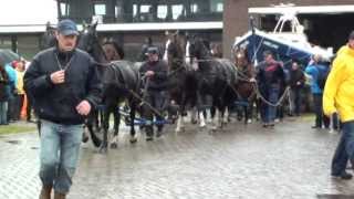 Paarden Reddingsboot op Ameland [upl. by Elocan997]