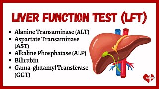 A Doctors guide to FATTY LIVER Causes Diagnosis and How to Reverse it through Diet [upl. by Rafaela]