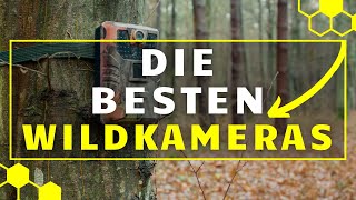 Wildkamera TEST  Die besten Wildkameras im großen Vergleich [upl. by Asiole]