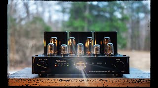 Willsenton R8 Tube Integrated Amplifier 2022 A Rarity in HIFi [upl. by Lamori842]