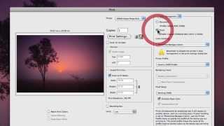 How To Configure Photoshop Printing Settings [upl. by Eladroc458]