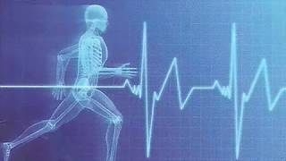 stress echocardiography [upl. by Sadonia]