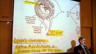 BIOLOGY CHROMOSOME ANOMALIES amp GENETIC DISEASES by Professor Finkwmv [upl. by Eta458]