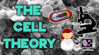 The Cell Theory  Complete Breakdown in 8 Minutes  Bio 101  STEMstream [upl. by Attey963]