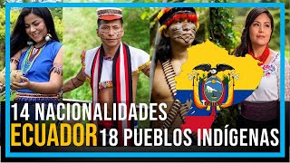 PUEBLOS Y NACIONALIDADES INDÍGENAS DEL ECUADOR [upl. by Ashjian]