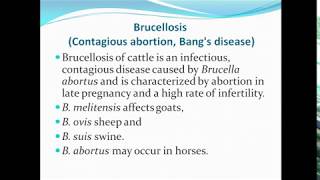 Brucellosis ppt [upl. by Eenad631]