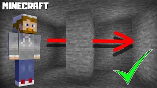 Minecraft  How to Get Xray Vision Without Mods 1164  NO CHEATS [upl. by Kathe827]