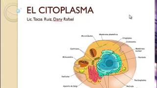 Citoplasma y Núcleo celular [upl. by Mccallum]