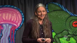 Monica Gagliano  Plant Intelligence and the Importance of Imagination In Science  Bioneers [upl. by Adnilev312]