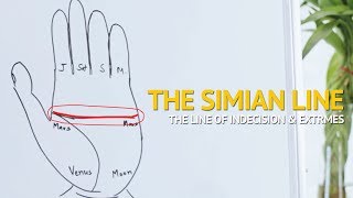 Palmistry  Understanding the SIMIAN line Indecisive amp Extreme Personality [upl. by Nayek481]